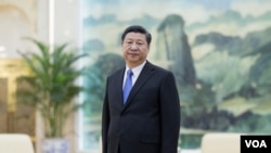 习近平在北京人民大会堂,在会见俄罗斯高官之前(2016年3月15日)