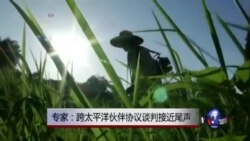 专家:跨太平洋伙伴协议谈判接近尾声 专家:跨太平洋伙伴协议谈判接近尾声