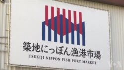 日本宣布恢复商业捕鲸 日本宣布恢复商业捕鲸