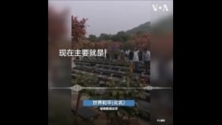 眼看就到清明了,张军还没去领父亲的骨灰 眼看就到清明了,张军还没去领父亲的骨灰