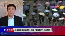时事大家谈:全球声援香港反送中 中国“爱国粉红”纷出笼? 时事大家谈:全球声援香港反送中 中国“爱国粉红”纷出笼?