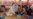 16x9 Image