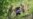 16x9 Image