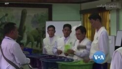 ကမ္ဘာ့သတင်းမီဒီယာတွေထဲက မြန်မာ ကမ္ဘာ့သတင်းမီဒီယာတွေထဲက မြန်မာ