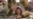 16x9 Image