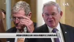 美国参议院通过法案 协助台湾重获世卫观察员身份 美国参议院通过法案 协助台湾重获世卫观察员身份