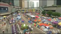 布朗参议员:香港民主不能再等下去 布朗参议员:香港民主不能再等下去