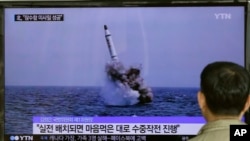 Singa laut berusia 15 tahun bernama 'Leo', menulis karakter China yang berarti babi hutan, dalam acara menjelang tahun baru mendatang yang akan merupakan Tahun Babi, di taman hiburan laut Hakkeijima, Yokohama, Jepang.