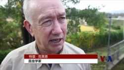 三八线的另类杀手:疟蚊 三八线的另类杀手:疟蚊