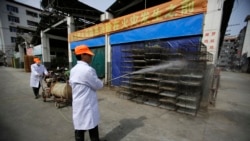 တရုတ်နိုင်ငံ ဟူနန်ပြည်နယ်မှာ H5N1 ငှက်တုပ်ကွေး ကူးစက်ပျံ့နှံ့ တရုတ်နိုင်ငံ ဟူနန်ပြည်နယ်မှာ H5N1 ငှက်တုပ်ကွေး ကူးစက်ပျံ့နှံ့