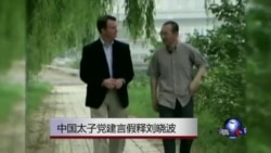 路透:太子党向习建言提前释放刘晓波 路透:太子党向习建言提前释放刘晓波