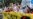 16x9 Image