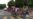 16x9 Image