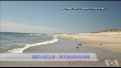 美国万花筒: 国家公园之旅-凭海临风科德角 美国万花筒: 国家公园之旅-凭海临风科德角