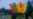 BRICS မှာပါဝင်ဖို့ မြန်မာစစ်ကောင်စီ စူးစမ်းနေ