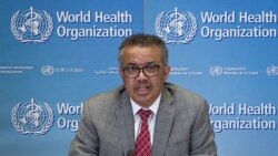 中国舆论评说特朗普对世卫“动真格” 中国舆论评说特朗普对世卫“动真格”