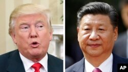 美国总统川普(左图),中国国家主席习近平
