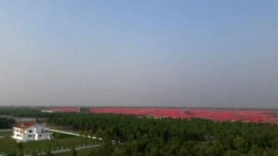 ဘာဆန်ချာကျွန်းက ရိုဟင်ဂျာတွေ စခန်းထဲပြန်ရွှေ့ပေးဖို့ HRW တောင်းဆို ဘာဆန်ချာကျွန်းက ရိုဟင်ဂျာတွေ စခန်းထဲပြန်ရွှေ့ပေးဖို့ HRW တောင်းဆို