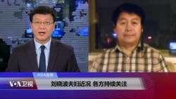 VOA连线:刘晓波夫妇近况 各方持续关注 VOA连线:刘晓波夫妇近况 各方持续关注