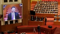 时事大家谈:红二代齐聚护驾,挺习近平还是保“家天下”? 时事大家谈:红二代齐聚护驾,挺习近平还是保“家天下”?