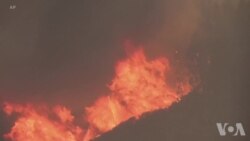 加州多处野火肆虐,州长宣布调动全部资源全力以赴 加州多处野火肆虐,州长宣布调动全部资源全力以赴