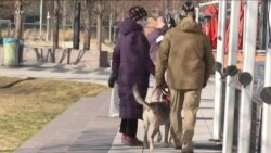 华盛顿居民对特朗普弹劾审判看法不一 华盛顿居民对特朗普弹劾审判看法不一
