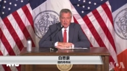 纽约将允许在出生证明上填写第三性别 纽约将允许在出生证明上填写第三性别