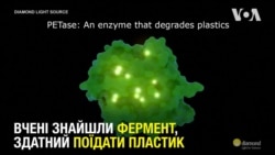 Вчені знайшли фермент, здатний поїдати пластик. Відео Вчені знайшли фермент, здатний поїдати пластик. Відео