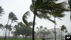 热带风暴“埃塔”造成的暴雨袭击佛罗里达州的迈阿密海滩市(2020年11月8号)。