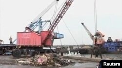 黄浦江中打捞上的死猪已近六千头(视频截图)