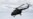 Colombian Army Helicopter Crash Kills 10