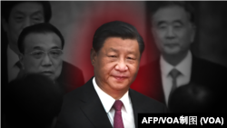 资料照:中国领导人习近平和他的班子成员。