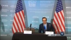 Час-Тайм. Волонтери вивозять чорнобильських собак до США Час-Тайм. Волонтери вивозять чорнобильських собак до США