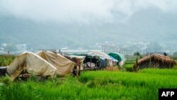 တရုတ်နယ်စပ်၊မြန်မာဘက်ခြမ်း ပန်းဆိုင်း၊ မူဆယ်ဘက်က ထွက်ပြေးလာသူတွေနေထိုင်ရာ ယာယီတဲများ။