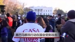 奧巴马移民政令在国会受到抨击 奧巴马移民政令在国会受到抨击