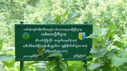 သစ်တောစီမံအုပ်ချုပ်မှု အကဲဖြတ်ချက် သစ်တောစီမံအုပ်ချုပ်မှု အကဲဖြတ်ချက်