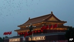 在国庆日的升旗式上,鸽子飞过天安门。(2014年10月1日)