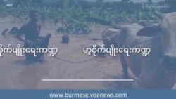 မုန်တိုင်းသင့် မြန်မာ့စိုက်ပျိုးရေးကဏ္ဍ မုန်တိုင်းသင့် မြန်မာ့စိုက်ပျိုးရေးကဏ္ဍ