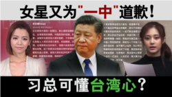 海峡论谈:女星又为一中道歉 习总可懂台湾心? 海峡论谈:女星又为一中道歉 习总可懂台湾心?