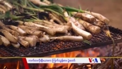 ကက်တလိုးနီးယားက ကြက်သွန်စား ပွဲတော် ကက်တလိုးနီးယားက ကြက်သွန်စား ပွဲတော်