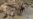 16x9 Image