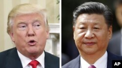 美国总统川普(左图), 中国国家主席习近平