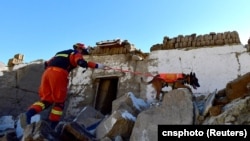 中国西藏自治区日喀则市定日县地震发生后,一名消防员带着救援犬在一个村庄里展开搜救行动。( 2025年1月8日)