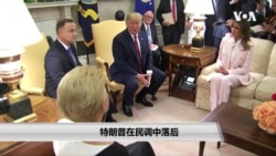 特朗普在民调中落后 特朗普在民调中落后