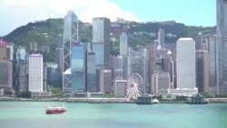 特朗普签署《香港自治法》 在美港人期望《安全港法案》尽快通过 特朗普签署《香港自治法》 在美港人期望《安全港法案》尽快通过