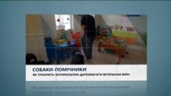 Вікно в Америку Вікно в Америку
