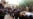 人权观察:伊斯兰国处决500多政府军