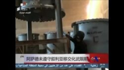 阿萨德未遵守叙利亚移交化武限期 阿萨德未遵守叙利亚移交化武限期