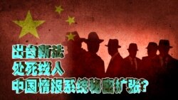时事大家谈:处死线人,出台新法,中国情报系统秘密扩张? 时事大家谈:处死线人,出台新法,中国情报系统秘密扩张?