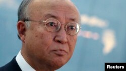 国际原子能机构总干事天野之弥(资料照)